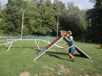 Die A-Wand am Agility-Parcours