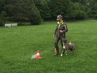 Spirale_links in Rally-Obedience bei uns in der Hundeschule